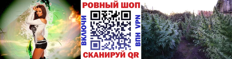 Цена Нестеров COCAIN  Мефедрон  ГАШ  Амфетамин  Бошки Шишки 