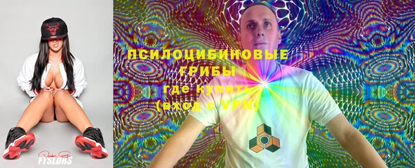 прущая мука Нея