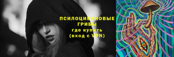 эйфоретик Нефтекумск