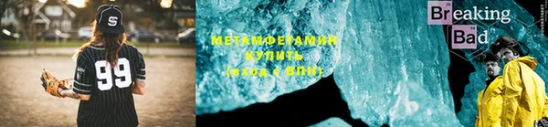 крисы Новозыбков