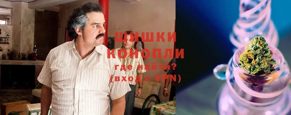 крисы Новозыбков