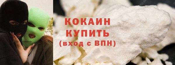 крисы Новозыбков