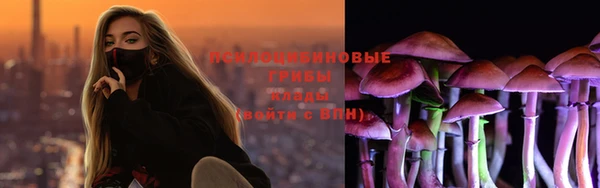 круглые Новодвинск