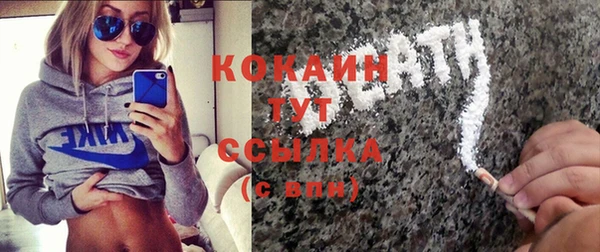 крисы Новозыбков