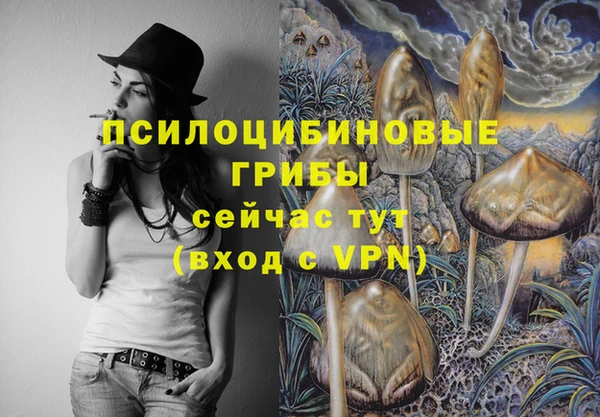 круглые Новодвинск