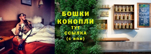 стафф Нефтегорск