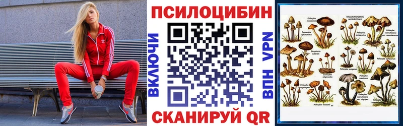 хочу наркоту  Нестеров  Галлюциногенные грибы мухоморы 